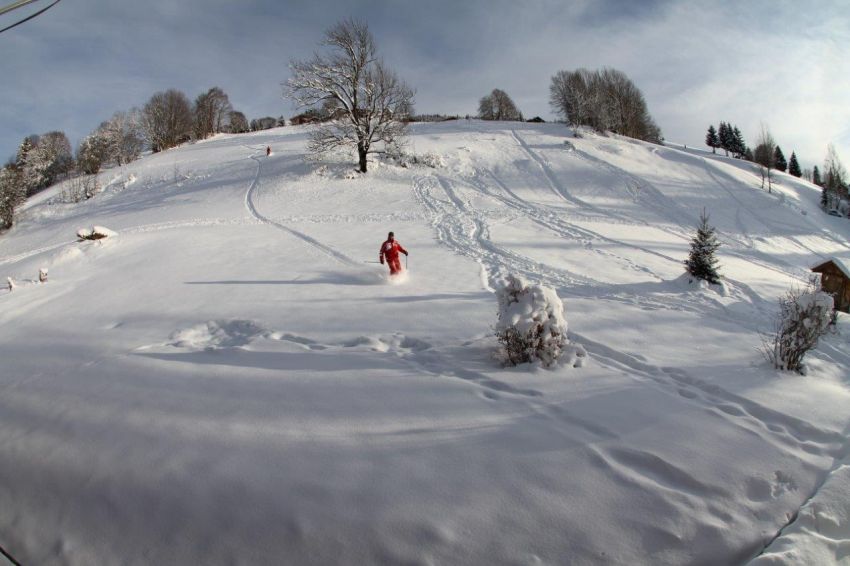 Retour aux chalets à ski, piste de luge privée.... balade en raquette possible à partir du chalet....